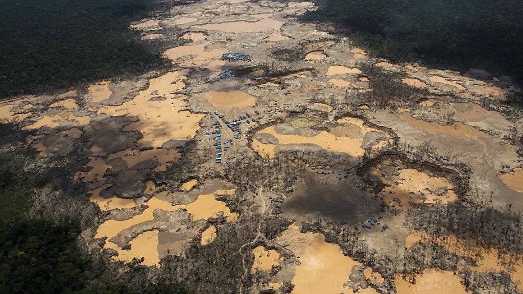 Illegale Goldminen in abgeholztem Gebiet in Peru: Laut einen Bericht kosteten Umweltverbrechen im vergangenen Jahr fast 260 Milliarden Dollar. (Archivbild)