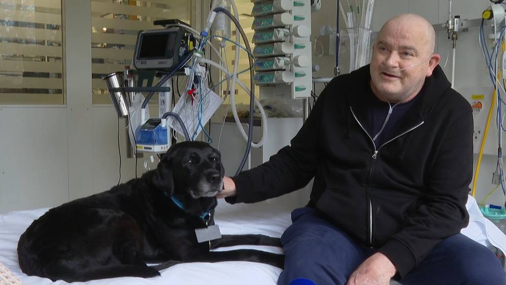 Sozialhund Oriana ist auf der Intensivstation im Einsatz