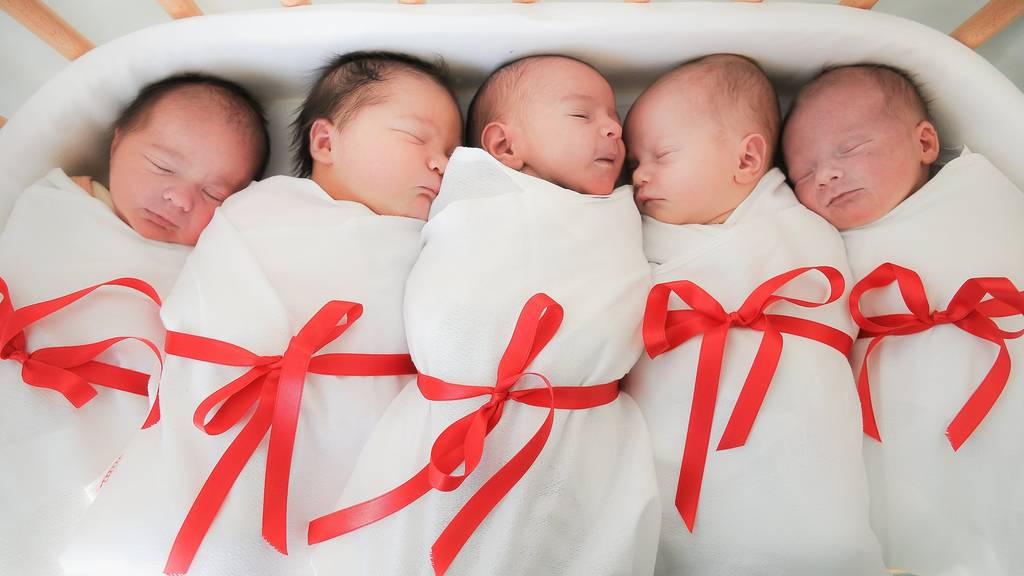 Ein schönes Weihnachtsgeschenk: So viele Babys!
