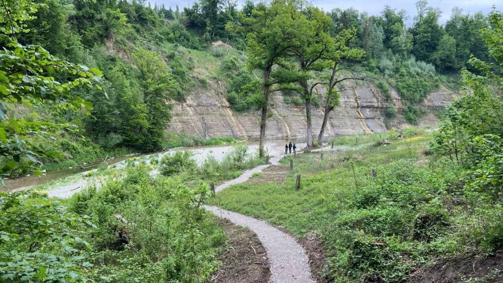 Für Besucherinnen und Besucher wurde bei der ehemaligen Jagdschiessanlage Embrach ein neuer Pfad angelegt.