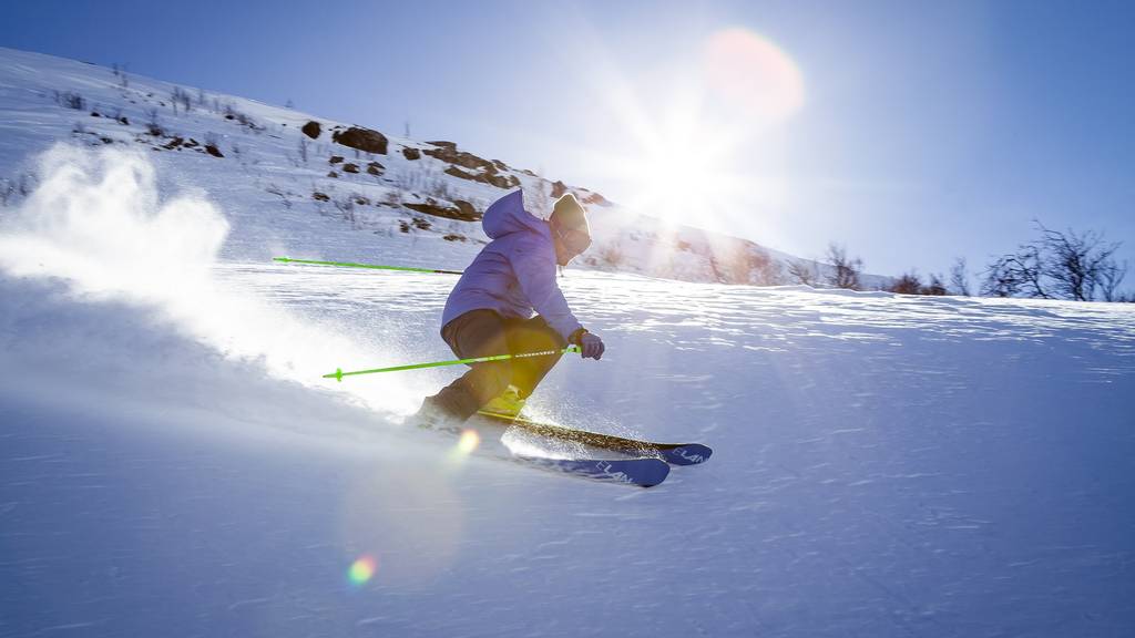 Skifahrer Typen