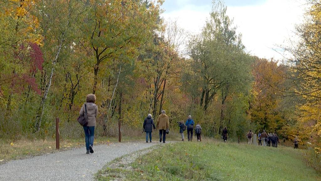 Neuer Flughafenpark auf dem Butzenbüel ab November offen