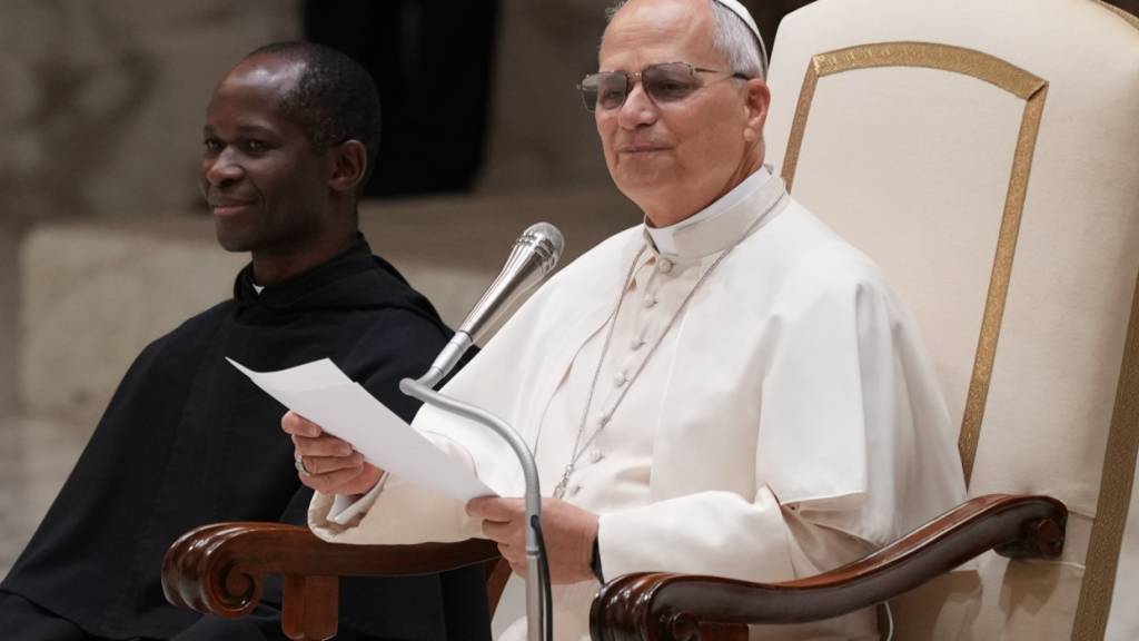 Papst Leo XIV. nimmt an einer Audienz mit Angestellten des Vatikans teil. Foto: Domenico Stinellis/AP/dpa