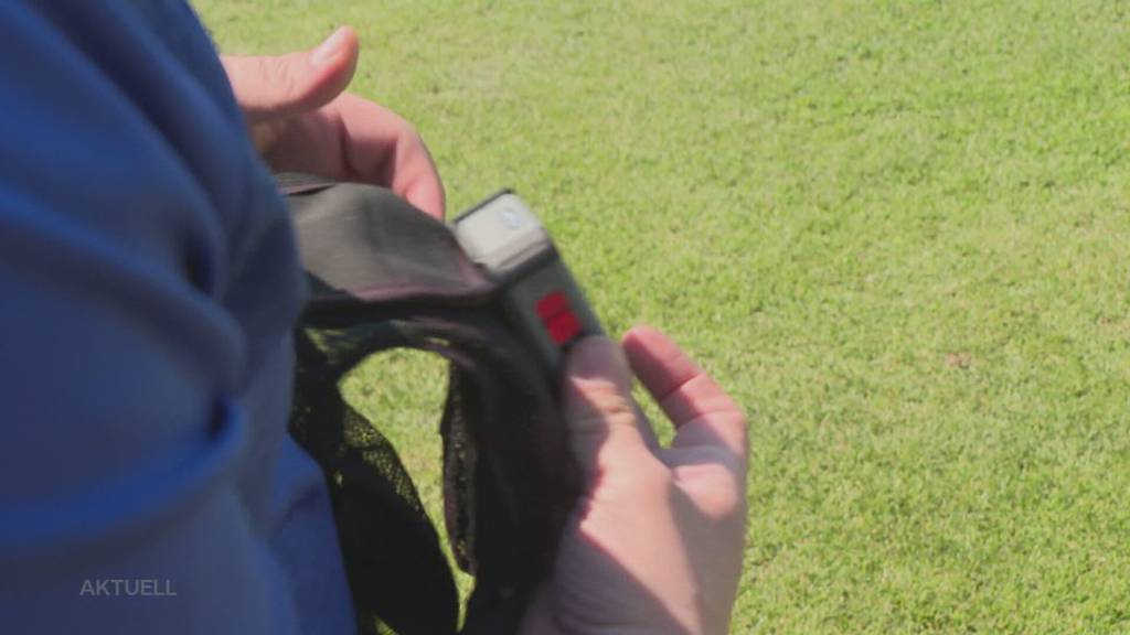Gegen Drohungen und Gewalt: Bodycams im Amateurfussball