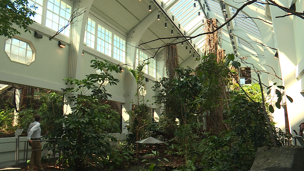 Neues Vogelhaus Zoo Basel
