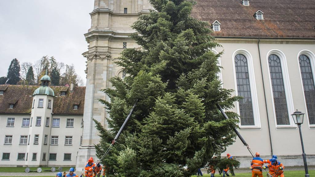 Der Christbaum im Jahr 2014 kam aus Eggersriet. (Bild: Urs Bucher/Tagblatt)