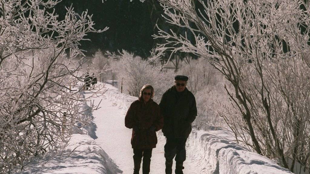 Ein Spaziergang in winterlicher Landschaft kann durch einen Sturz ein unschönes Ende nehmen. Die bfu und die Pro Senectute ermutigen Senioren, sich mit Übungen fit zu halten, um das Sturzrisiko zu  mindern. (Archivbild)