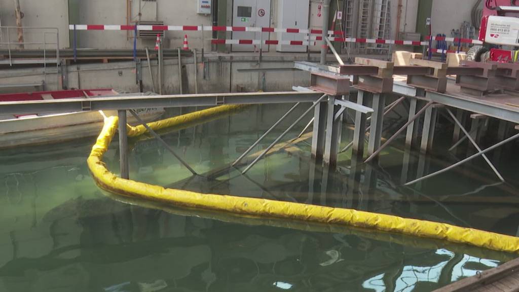 SGV investiert 20 Millionen Franken in die Modernisierung der Werft