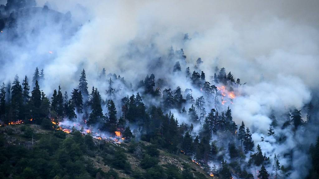 Der Waldbrand oberhalb von Bitsch im Oberwallis vor Jahresfrist wurde wohl durch Schüsse auf eine Stromhauptleitung verursacht. (Archivbild)