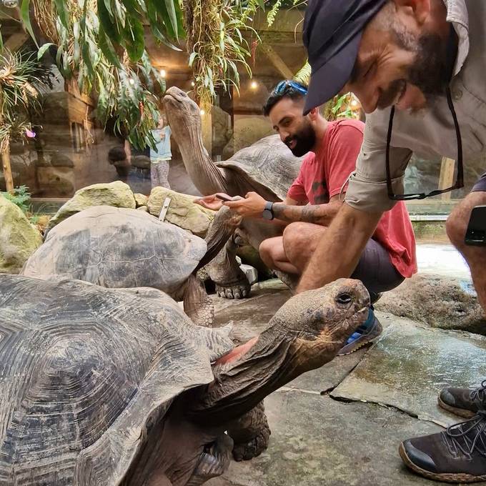 Rettung vom Schwarzmarkt: Schildkröte findet neues Zuhause in Zürich