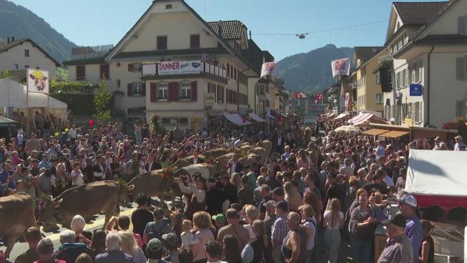 Glockengeläute, Jauchzer und rausgeputzte Rinder: Das war die Entlebucher Alpabfahrt 2026