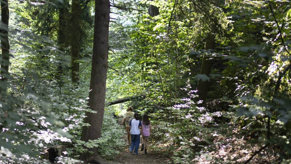 In den Wäldern des Kantons St. Gallen gilt Waldbrandgefahrenstufe 4 und deshalb ein Feuerverbot. Im Bild Kinder einer Schulklasse in der Nähe der Rudolf Steiner Schule.