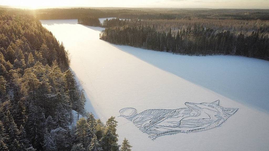 Finne «zeichnet» 90 Meter langen Fuchs auf zugefrorenen See