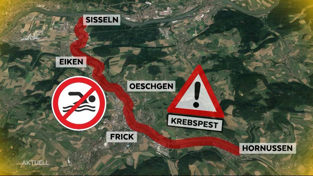 Krebspest: Sissle wird in mehreren Aargauer Gemeinden zum Sperrgebiet