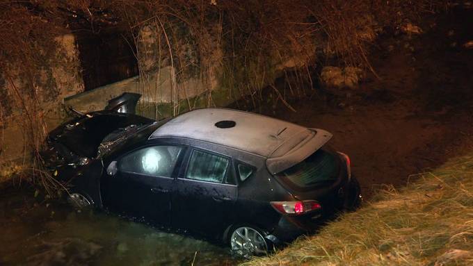 24-Jähriger landet mit Auto in Bachbett