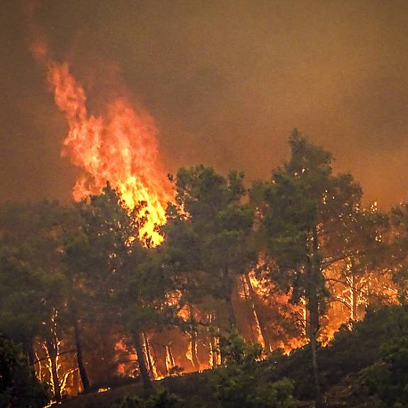 Waldbrand auf Rhodos: Ein Aarauer erzählt, wie er den Brand erlebte