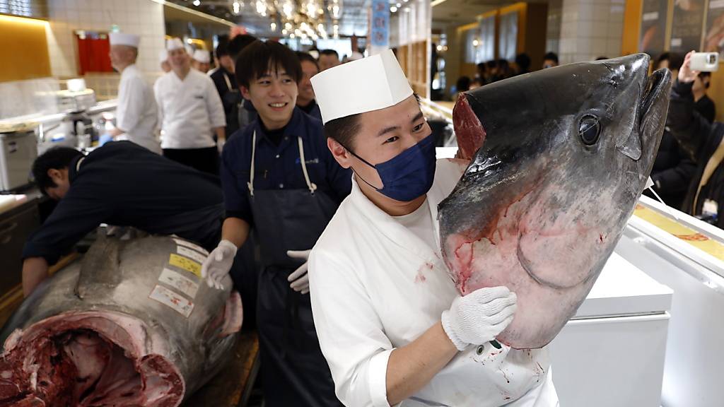Bei der Neujahrsauktion auf dem Toyosu-Fischmarkt in Tokio  wurde ein Rekordpreis für einen Blauflossen-Thunfisch bezahlt.