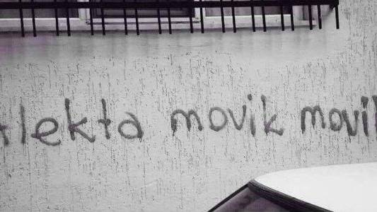 Alekta Movik Movik