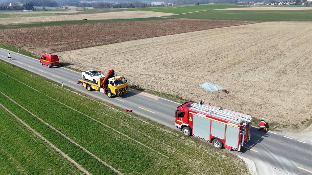Auto erfasst neunjährige Reiterin in Dörflingen – Luftrettung fliegt sie ins Kinderspital