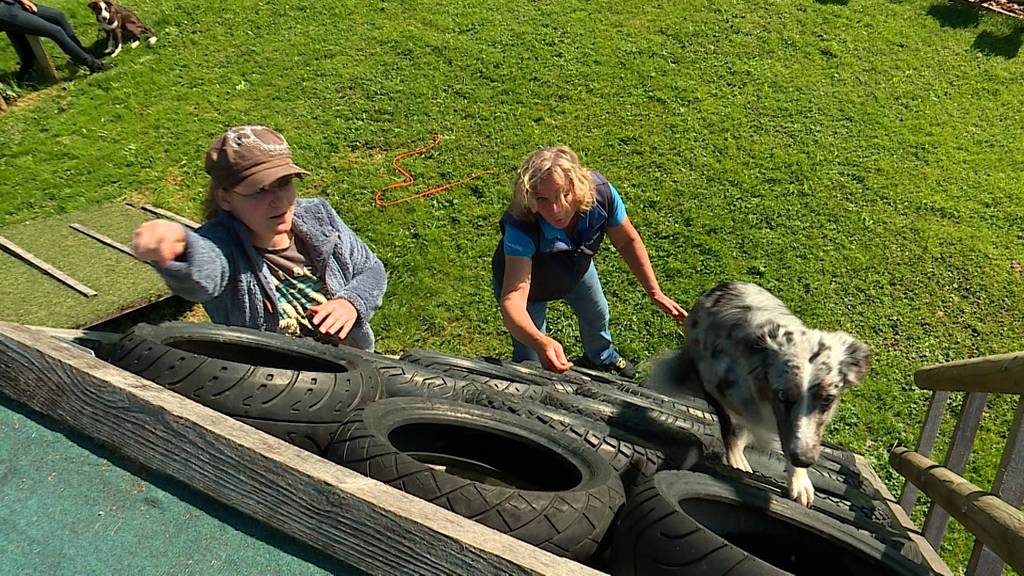 Hundepark KynoBalance