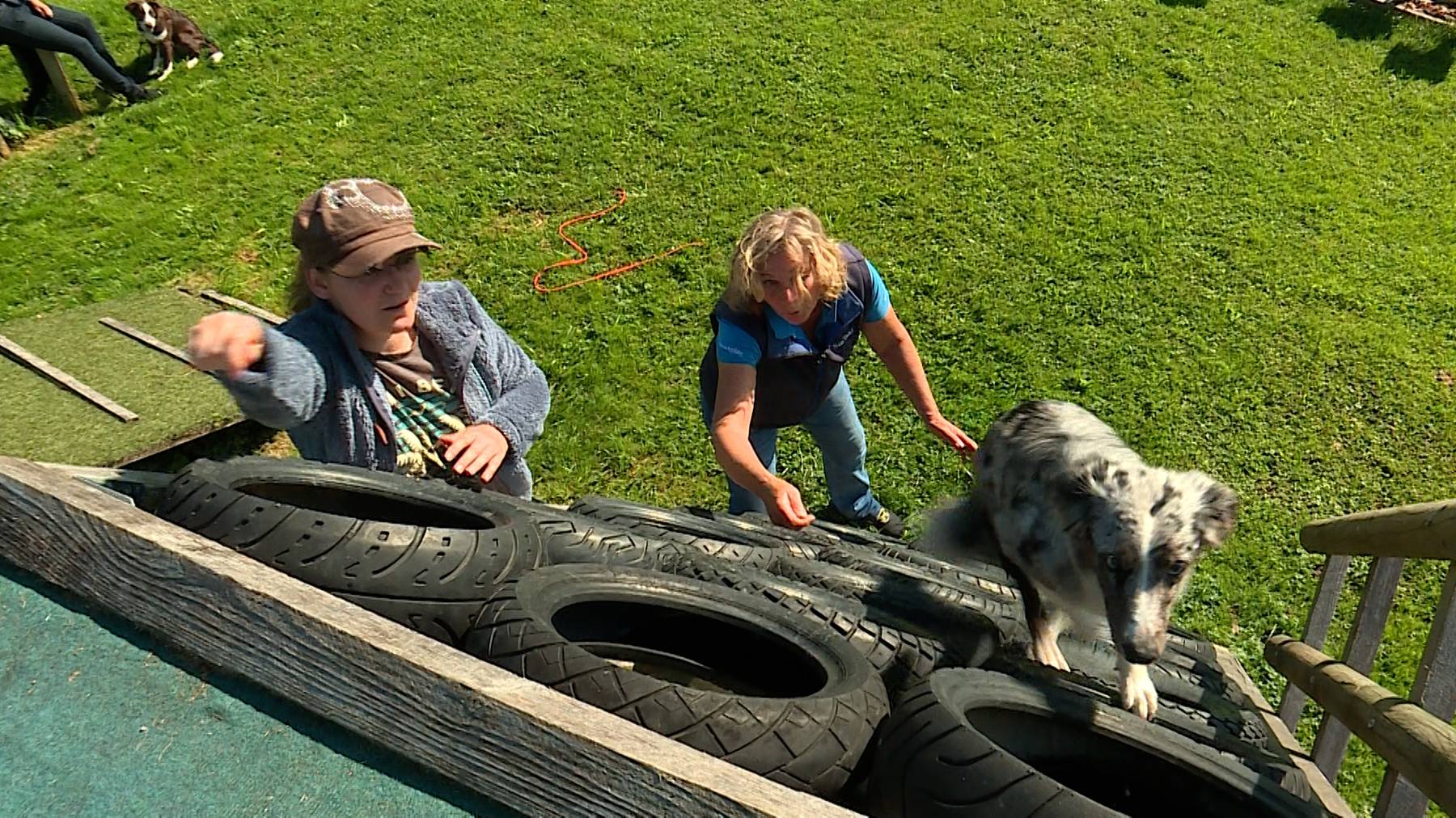 Hundepark KynoBalance