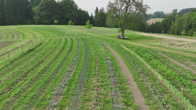 Landwirt speichert Regenwasser für Trockenperioden