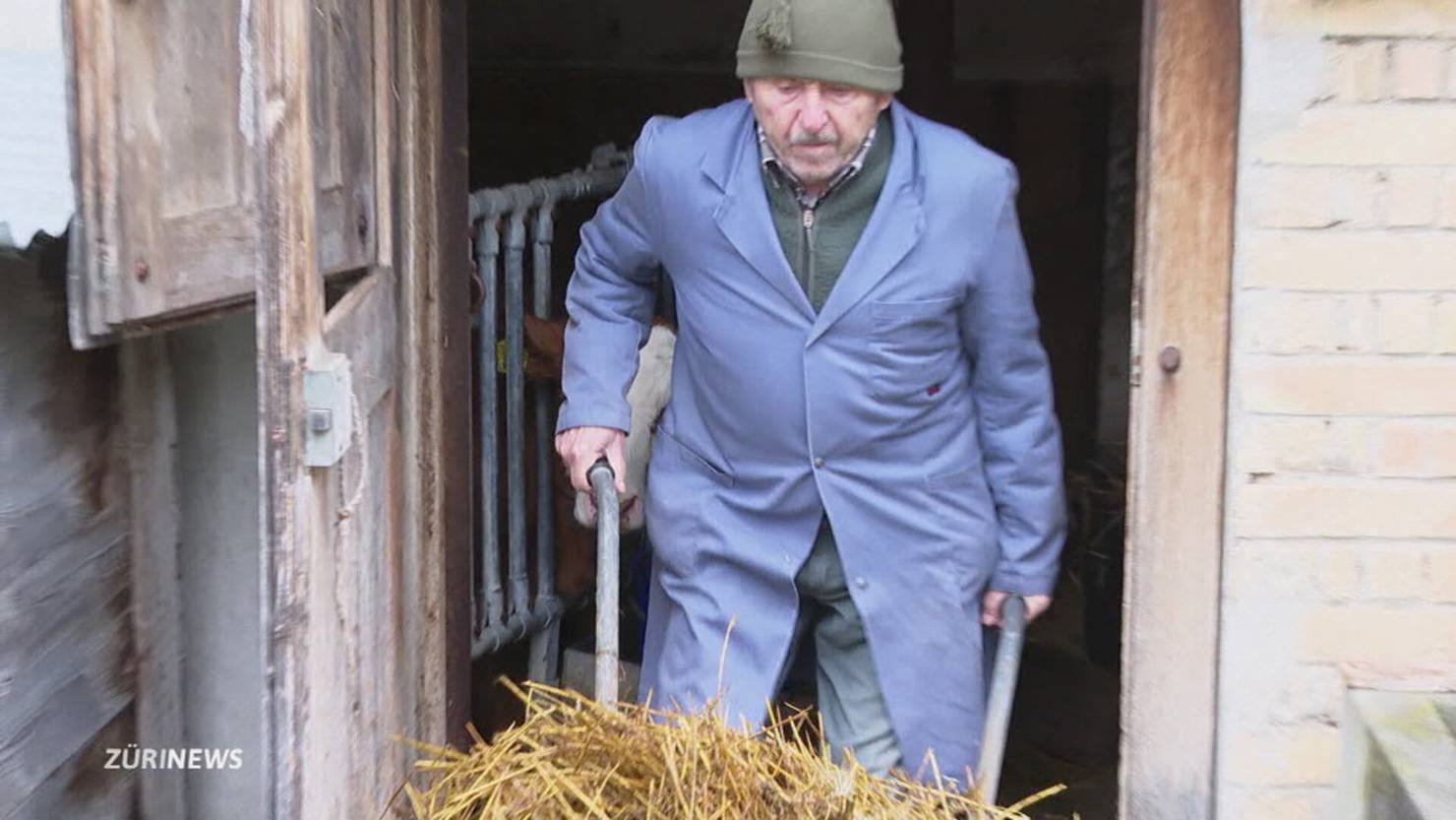 Land gegen Stadt: Tempo 30 in Zürich ausgebremst | TeleZüri