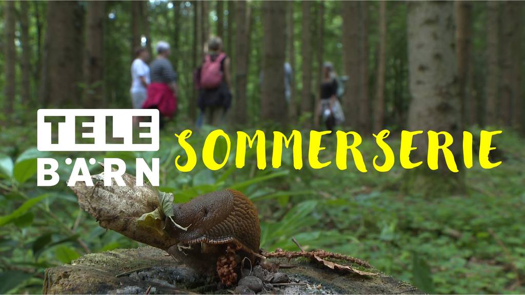 Sommerserie