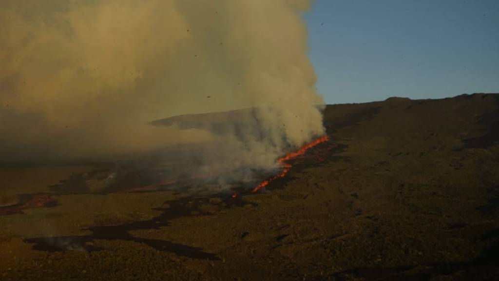 Ob der Ausbruch des Wolf-Vulkans auf der Galapagos-Insel Isabela Folgen für die Tierwelt hat, ist noch offen.