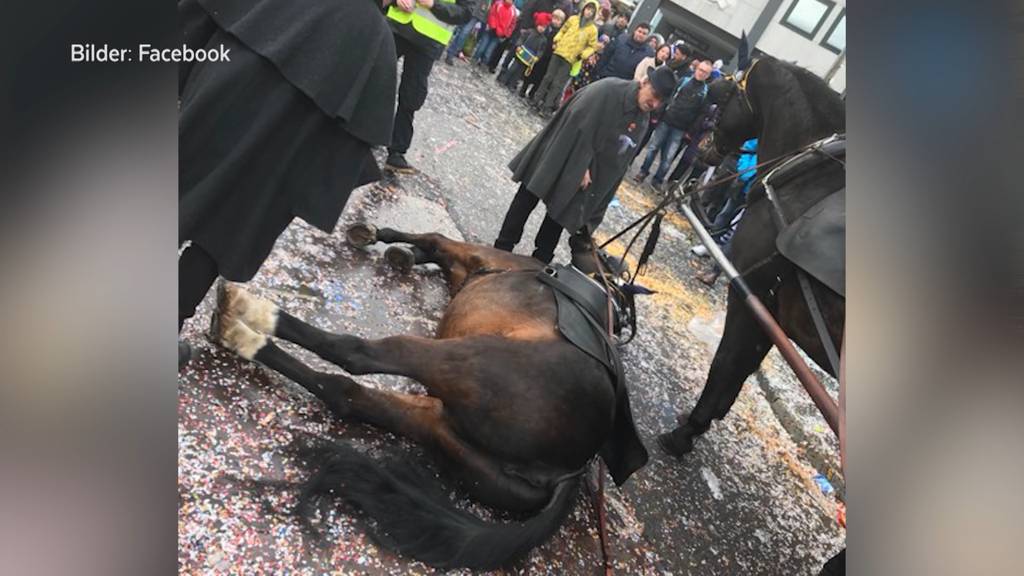 Pferde-Zwischenfall an Basler Fasnacht verärgert Tierschützer 