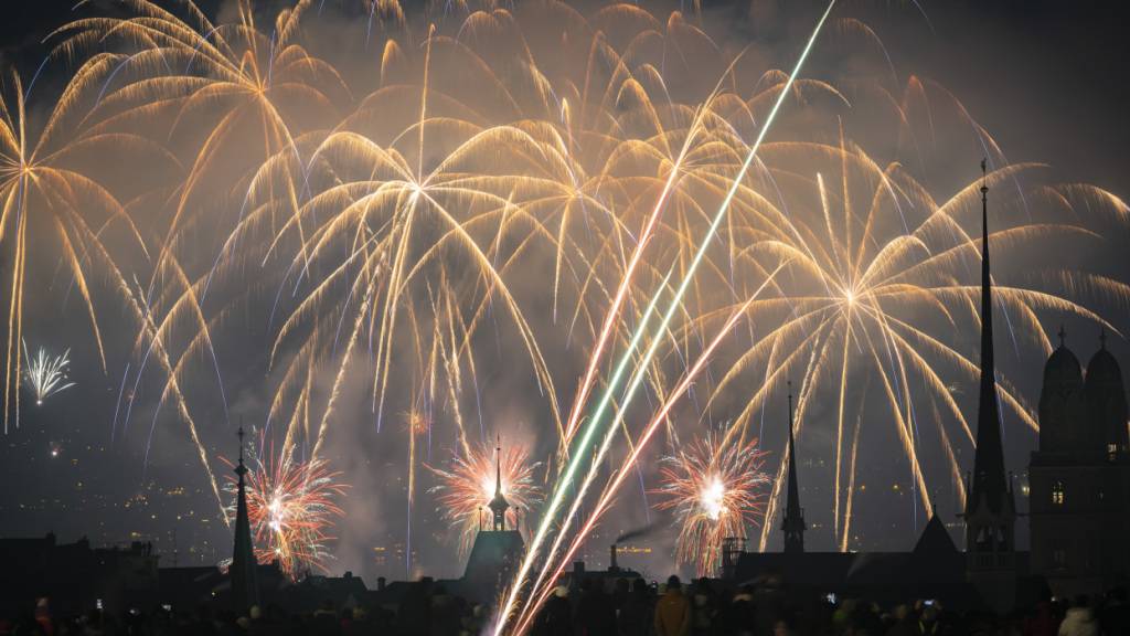 Studie zeigt: Vögel leiden noch Tage nach dem Feuerwerk