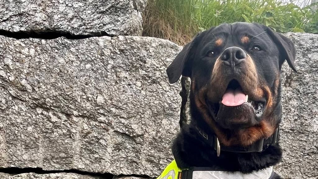 Diensthund Faro entlarvt E-Trotti-Rowdy als Drogendealer