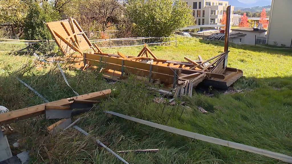 Baum fällt auf Wohnhaus und Wartehäuschen wird umgeblasen