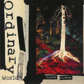 ORDINARY WORLD (1992)