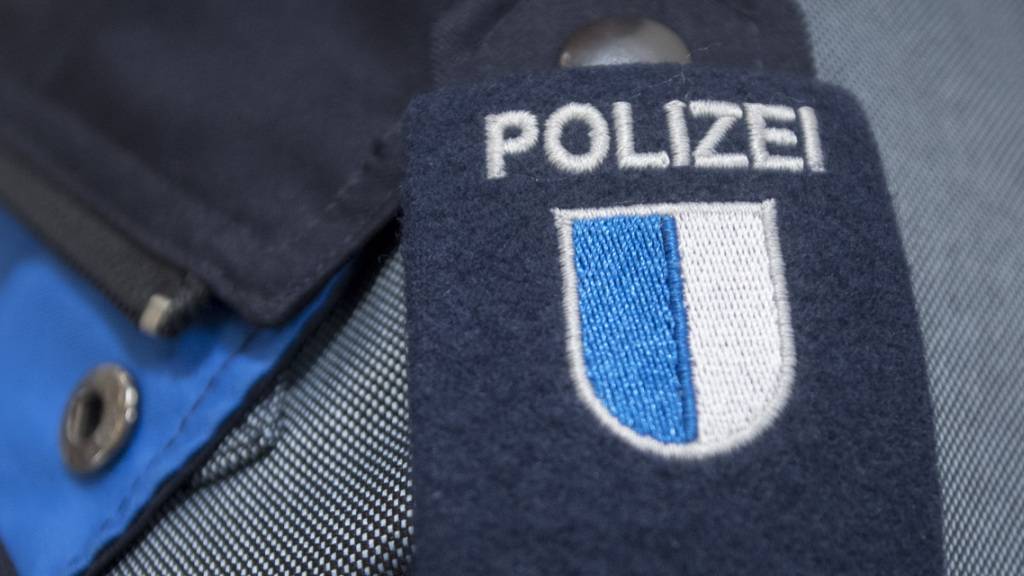 Die Luzerner Polizei sucht die unbekannten Vandalen, die am Wochenende wüteten. (Symbolbild)