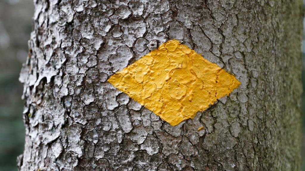 Der Wanderweg durch das Hölltobel ist wieder begehbar. Die Littibachbrücke in Baar wurde saniert. (Symbolbild)