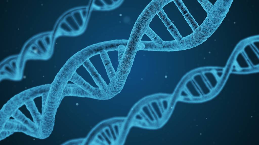 Zentralschweizer Kantone befürworten DNA-Auswertung