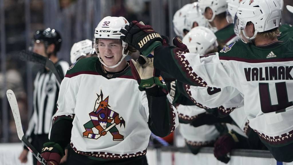 Die Arizona Coyotes müssen sich nach einer Aufholjagd in der Verlängerung geschlagen geben