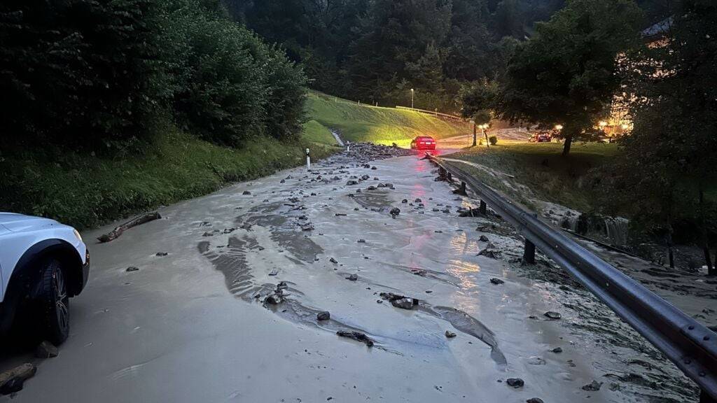 Starkregen sorgte am Mittwoch im Kanton Schwyz für zahlreiche Einsätze. Zwischen Siebnen und Vorderthal blockierten Erdmassen eine Strasse.