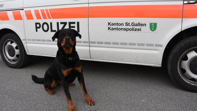 Polizeihund spürt Autofahrer auf