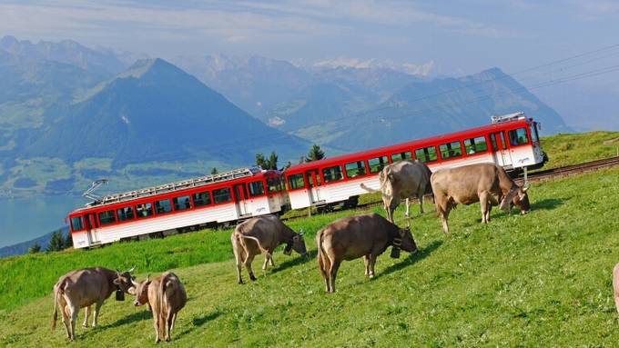 «Die Zeit ist reif!»: Schweizer wollen mit Reisen die Umwelt verbessern