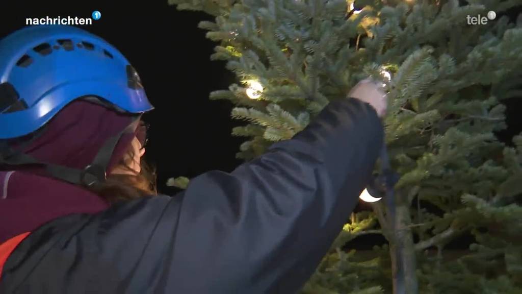 Hier wird in Luzern der grosse Weihnachtsbaum geschmückt