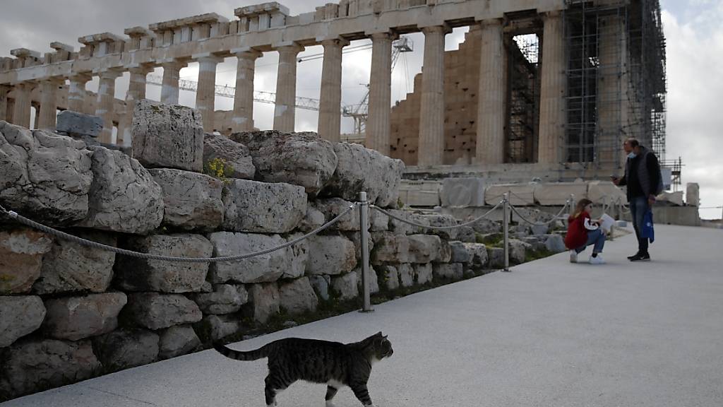 Eine Katze läuft über den wieder für Besucher geöffneten Akropolis-Hügel in Athen. Foto: Thanassis Stavrakis/AP/dpa