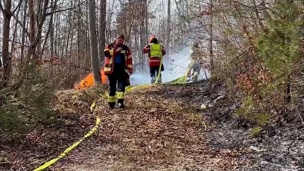 Waldbrand in Balsthal: Behörden mahnen zur Vorsicht