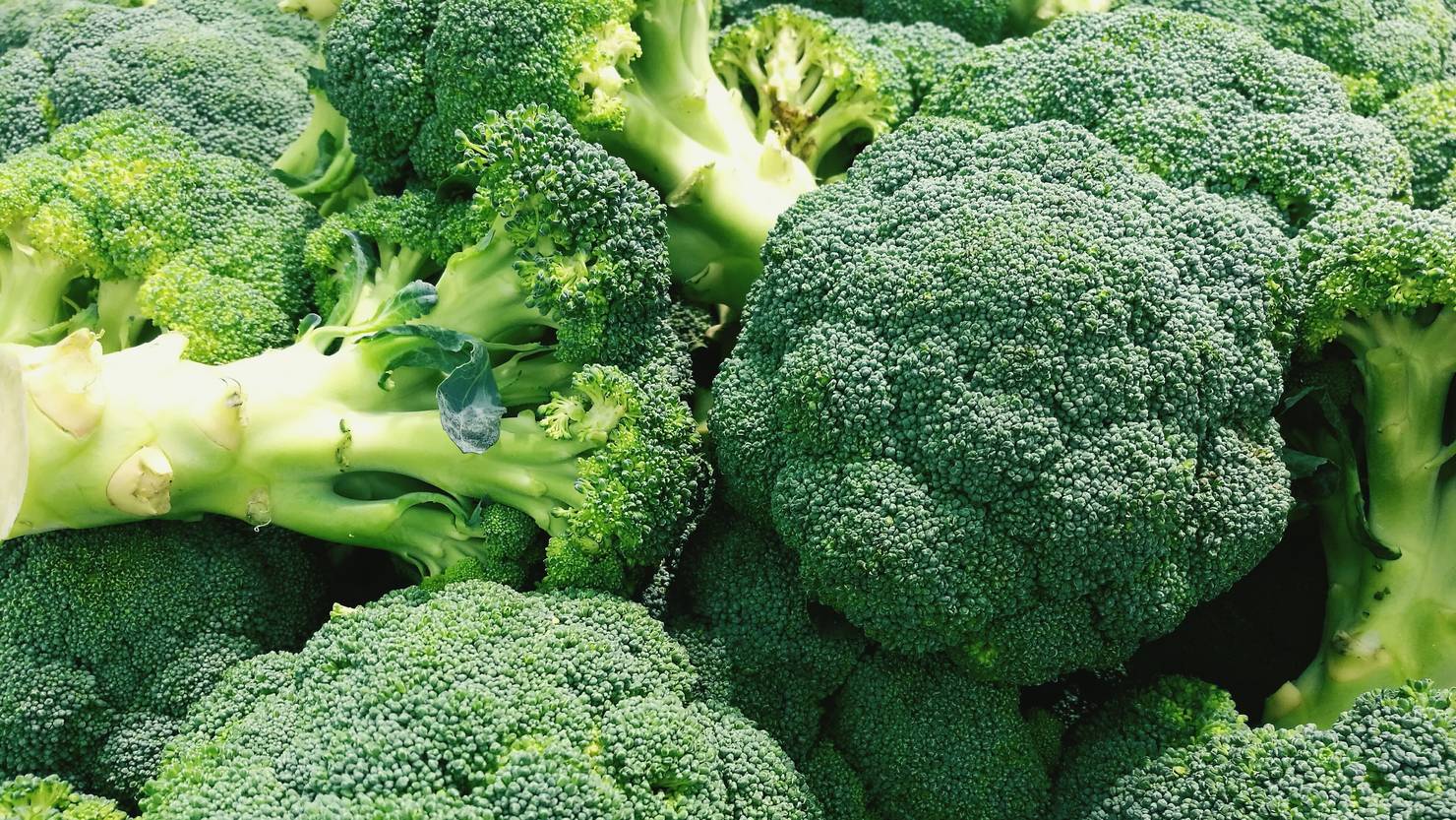 We love Broccoli Day Brokkoli und was du noch nicht über ihn wusstest