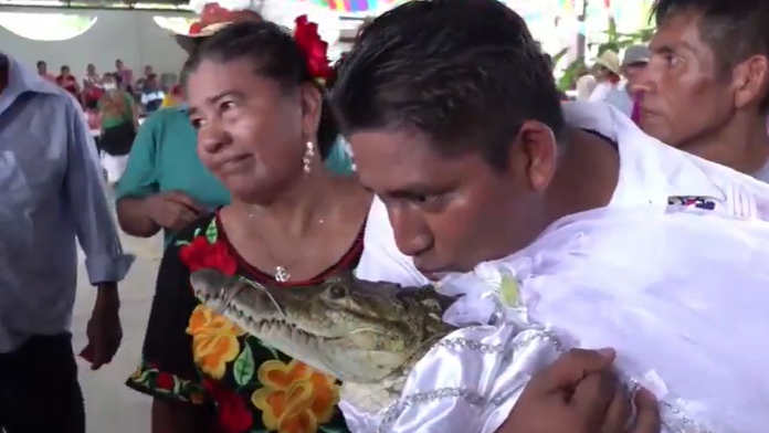 Mexikanischer Bürgermeister heiratet ein Krokodil