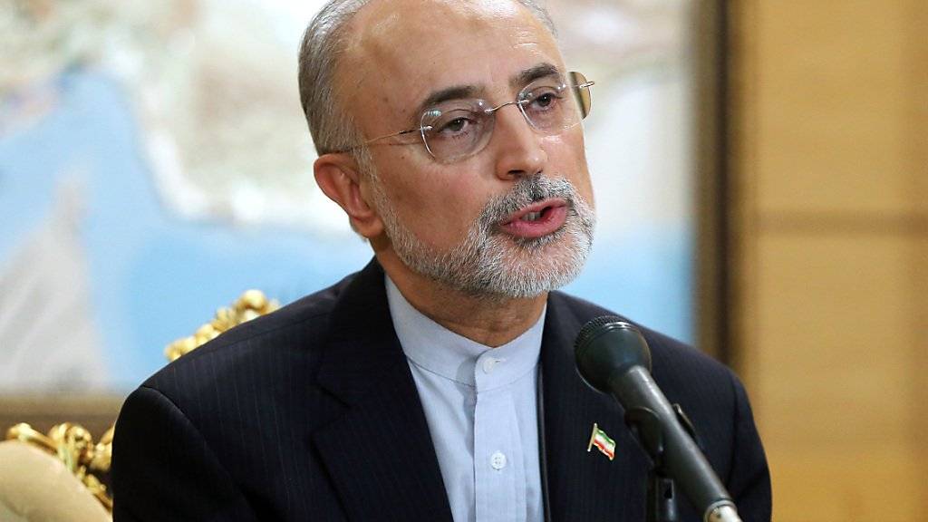Streitet mit seinem Vorgänger über das Atomabkommen: Der iranische Chefunterhändler Ali Akbar Salehi. (Archiv)