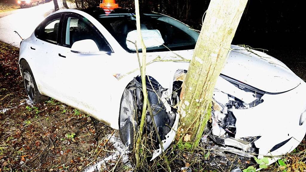 In Altishofen fuhr ein betrunkener Mann gegen einen Baum.
