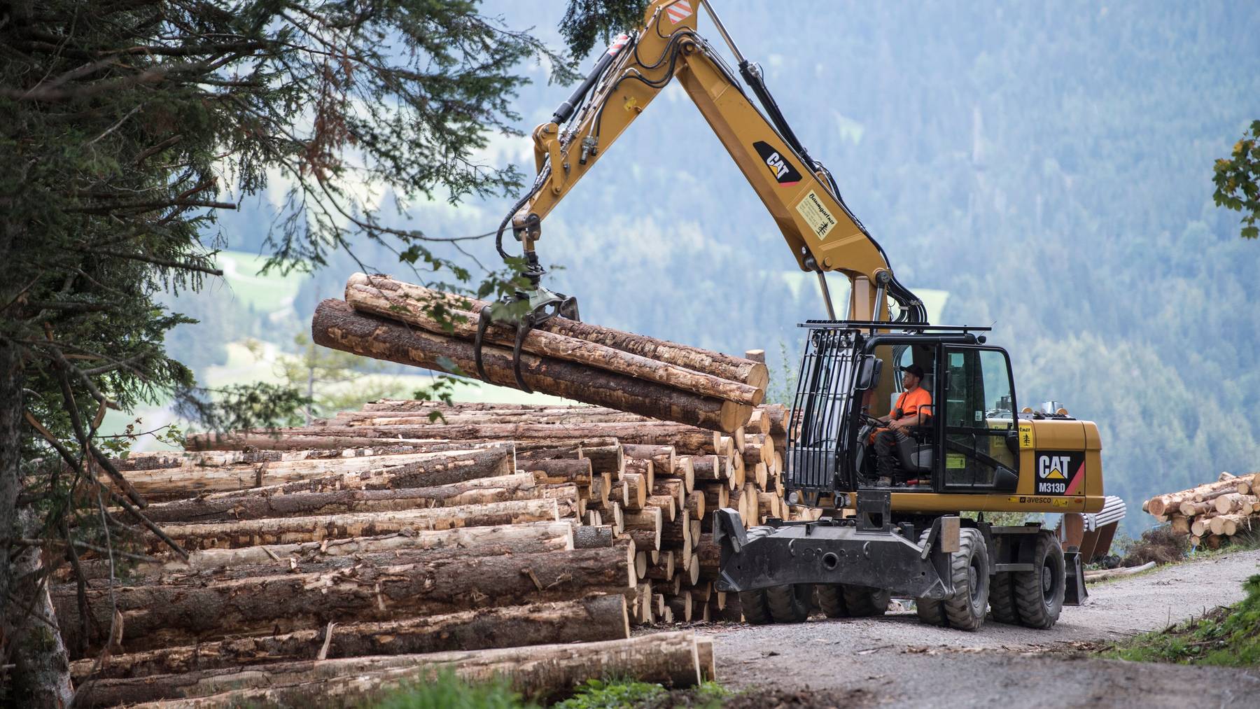 In der Forstwirtschaft sollen gemäss Grüne vermehrt Technologien eingesetzt werden, die negative Emissionen ermöglichen. (Symbolbild)