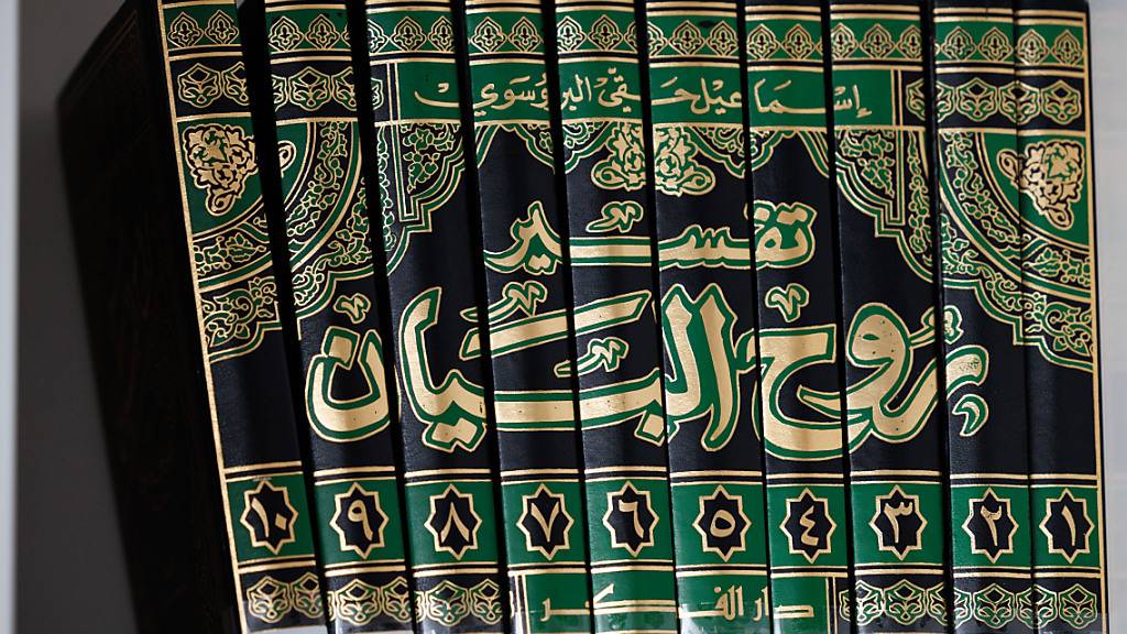 Bei einer Gegendemonstration zu einer Koranverbrennung in der schwedischen Stadt Malmö sind am Samstag drei Menschen festgenommen worden (Symbolbild). Foto: Friso Gentsch/dpa